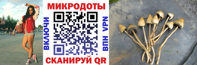 Псилоцибиновые грибы Psilocybine cubensis  Туринск 